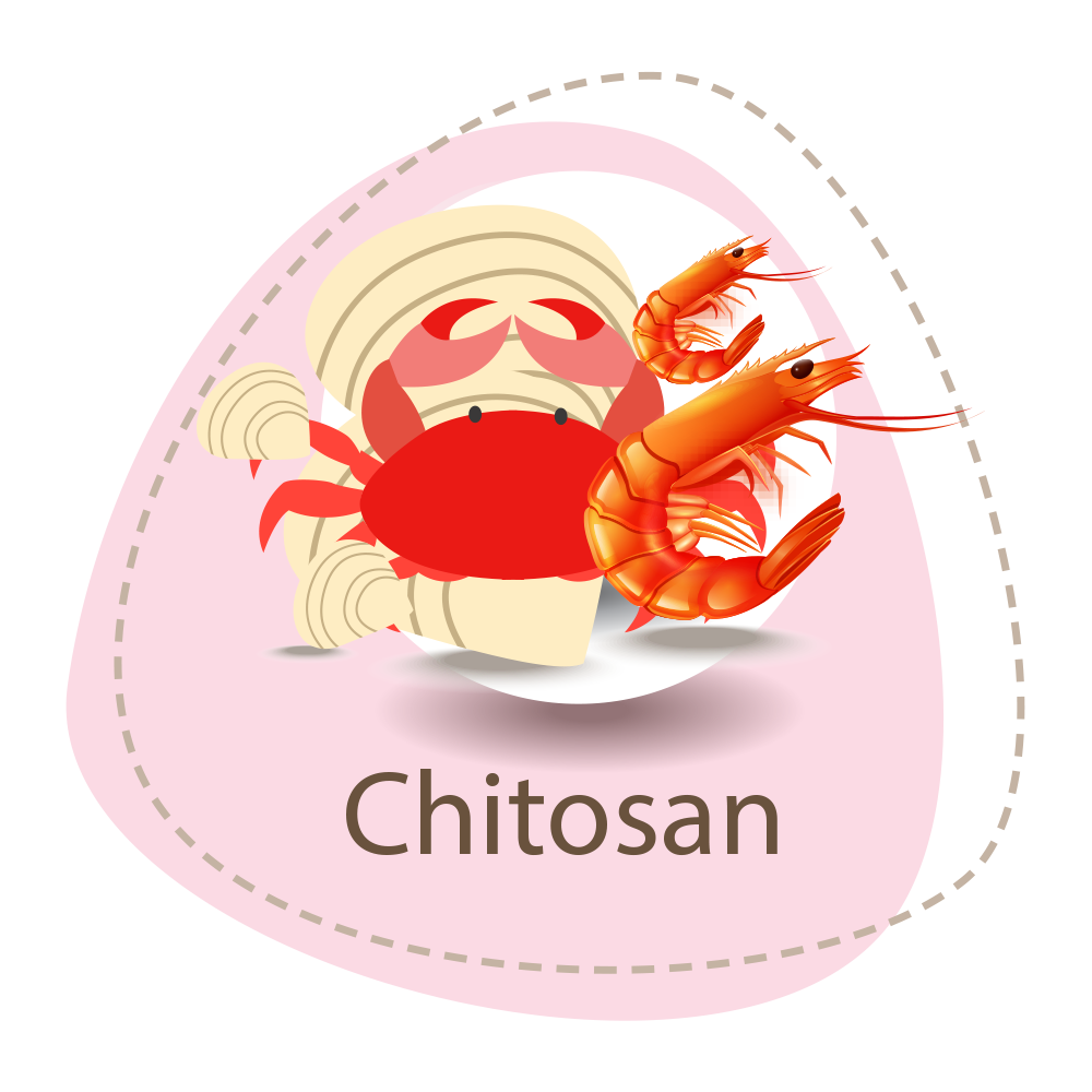 2. Chitosan