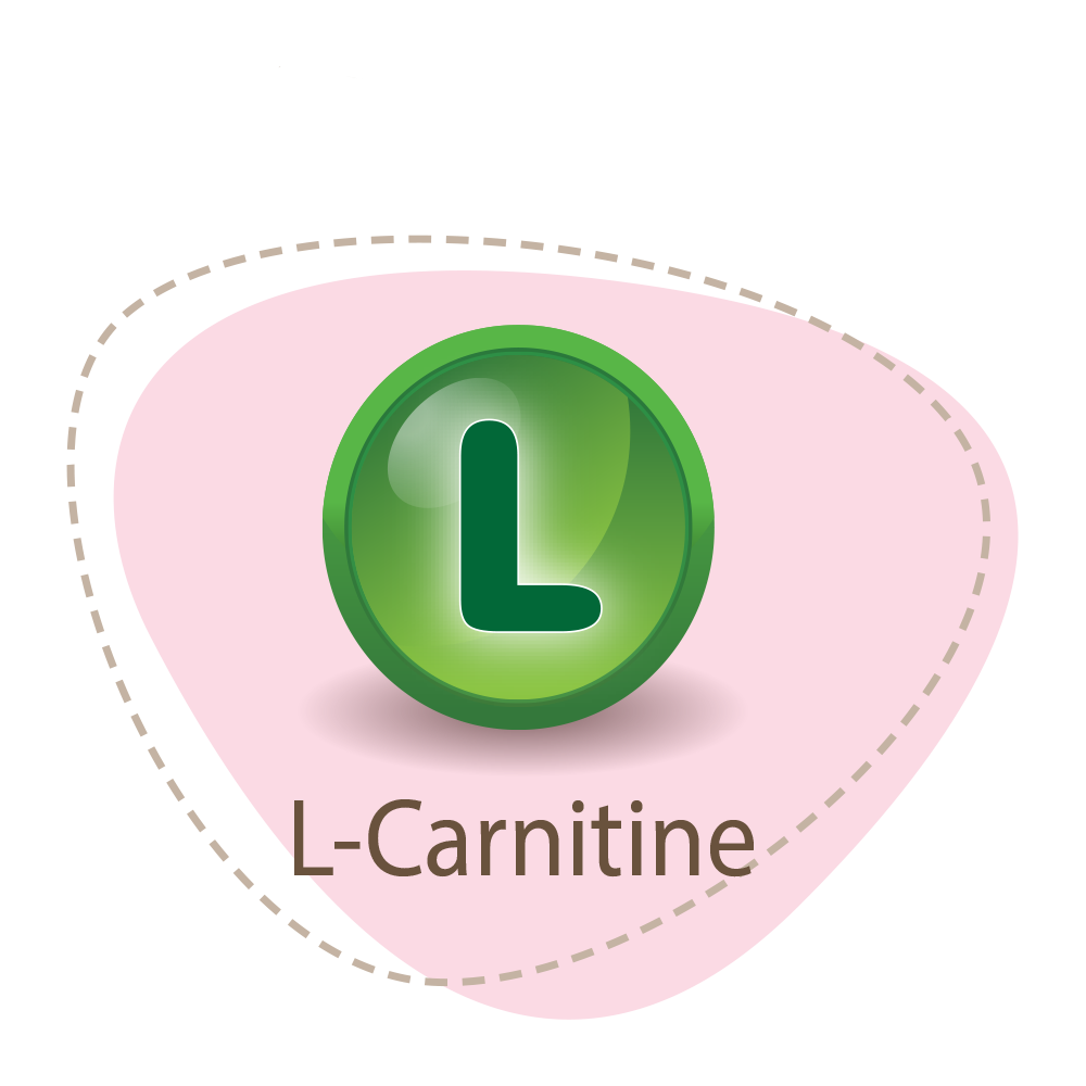 4. L-Carnitine