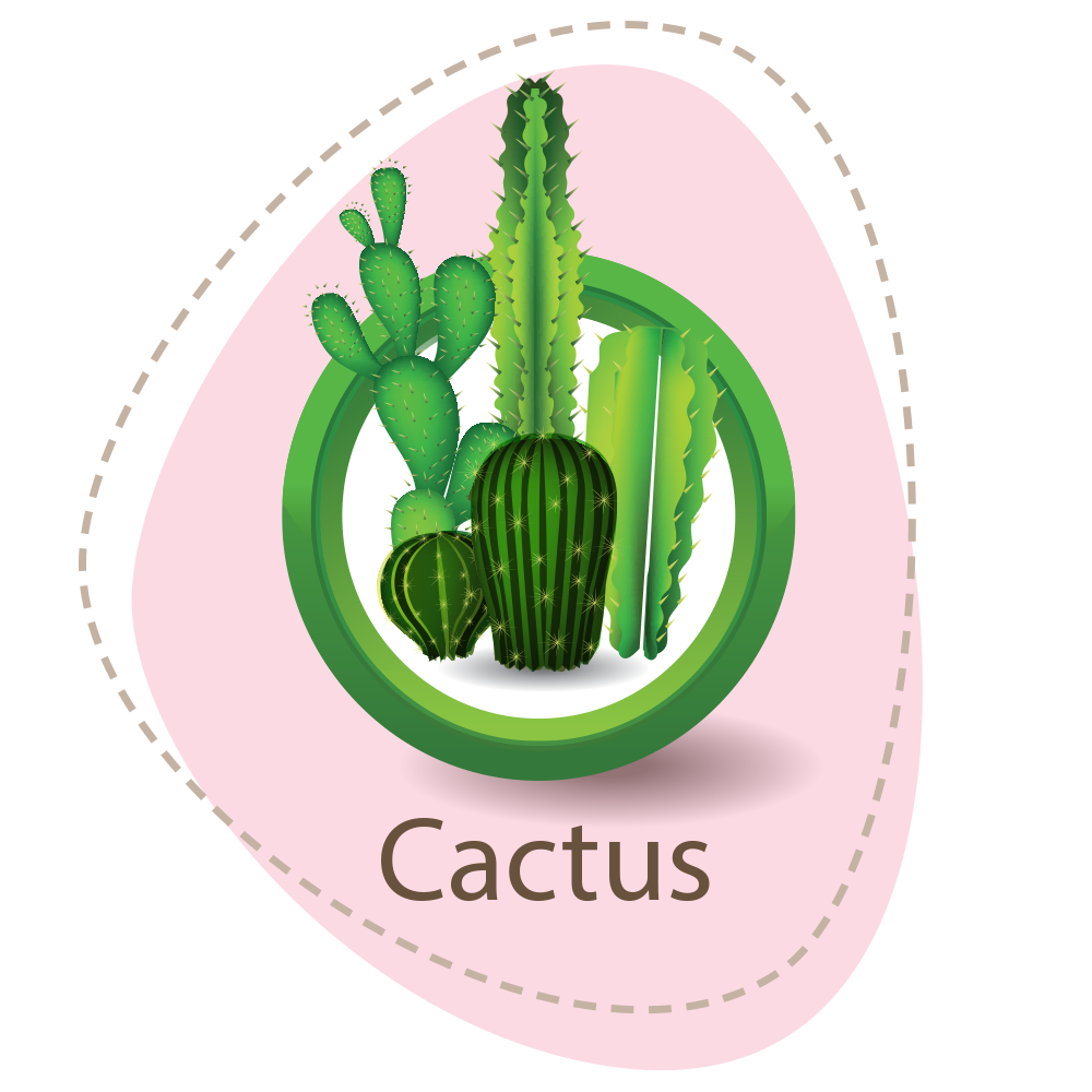 3. Cactus