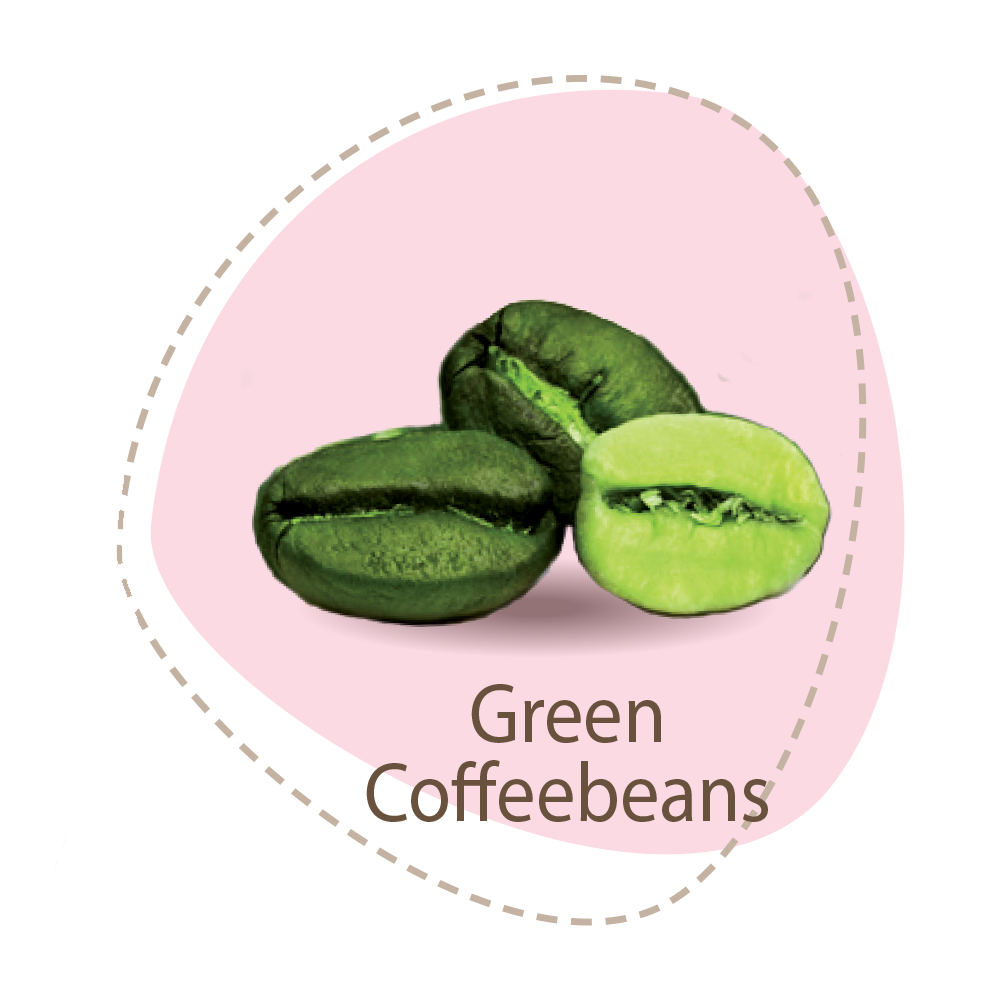 1. Green Coffee Bean